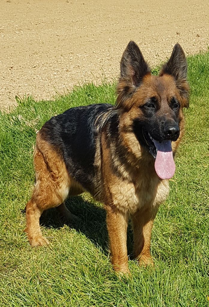 Publication : du lunoxa