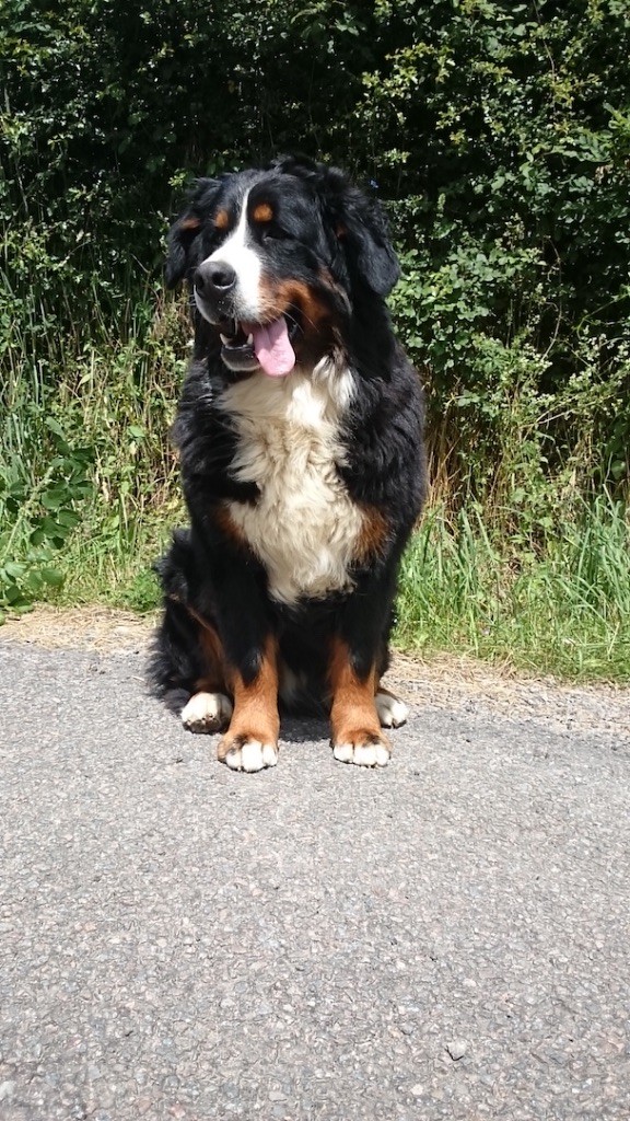 Publication : Du Clan D'Eole Auteur : Le Clan d'Eole