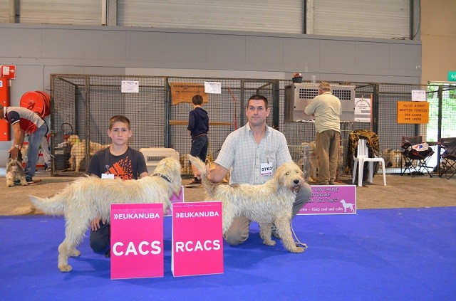 Publication : des echos des monts d'arree 