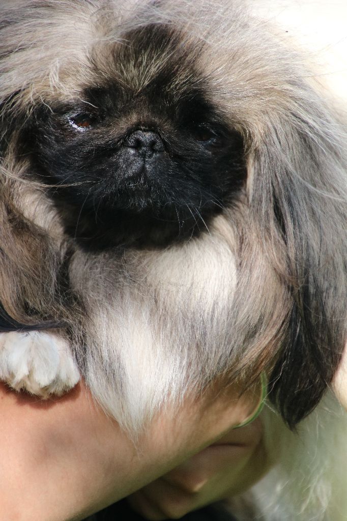 Publication : De La Cathedrale Des Ours 