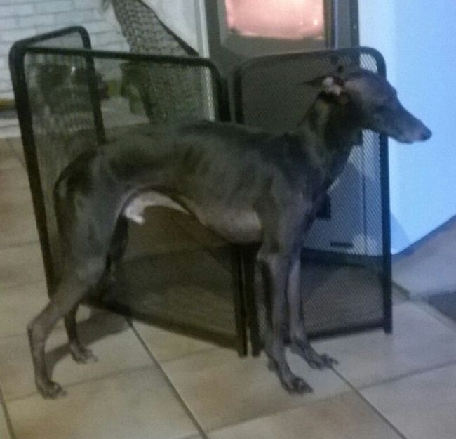 Publication : de Kenty'O