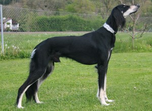 Publication : Baghlan 