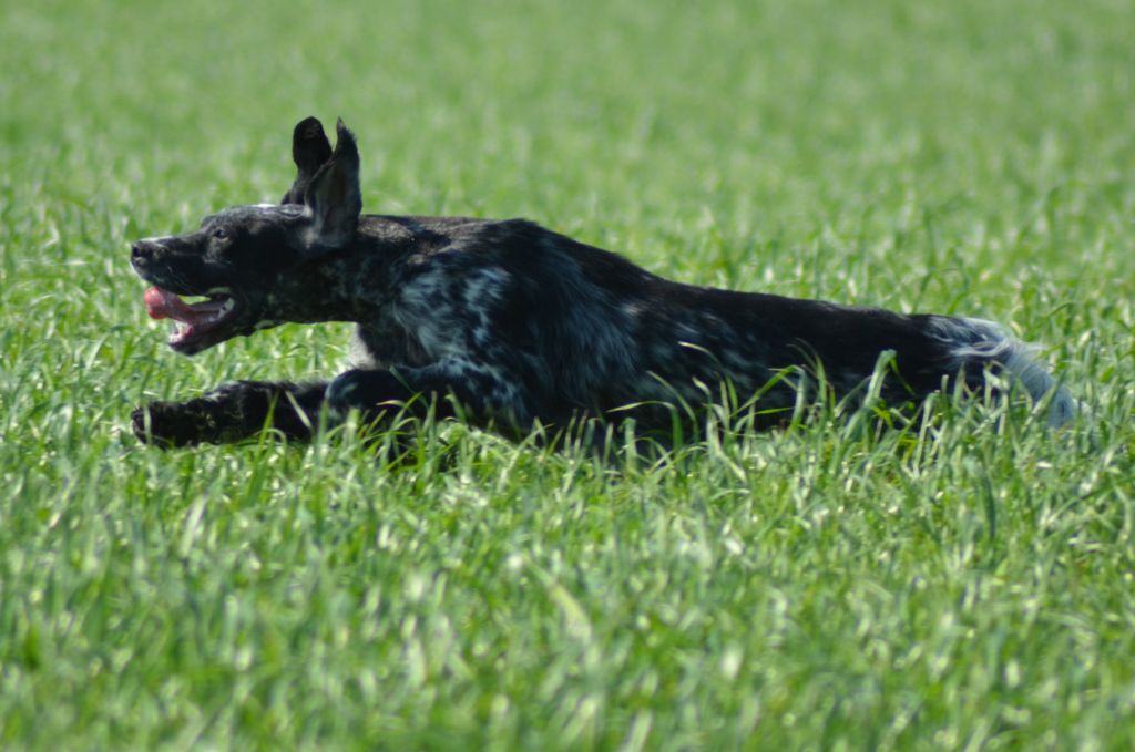 Publication : Des Bords De La Trézence