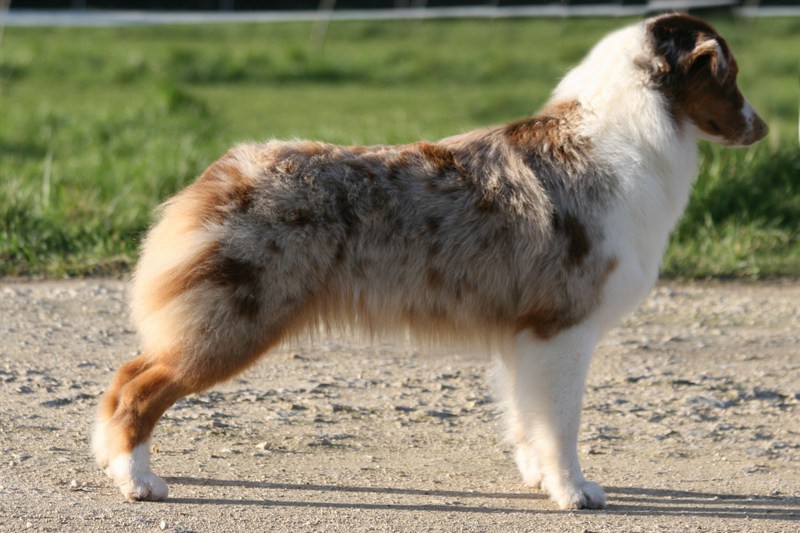 Publication : des Légendes de Maika 