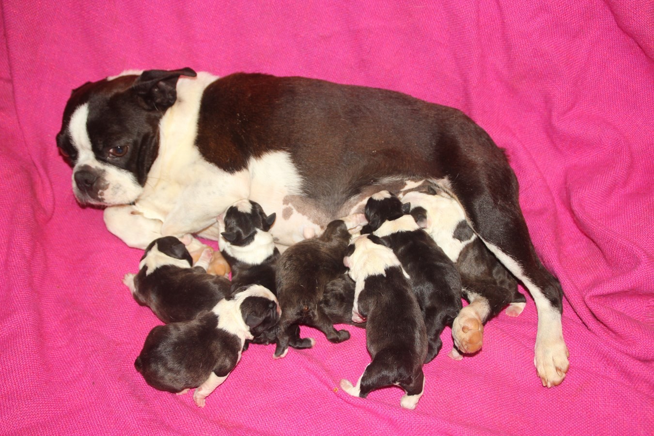 Publication : Du grand fresnoy