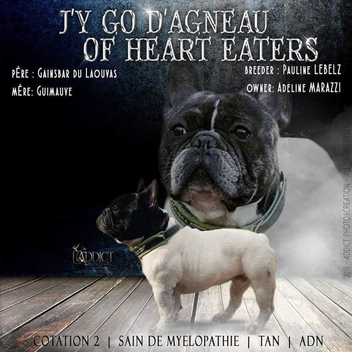 (l&ouml;khi) j'y go d'agneau Of Heart Eaters