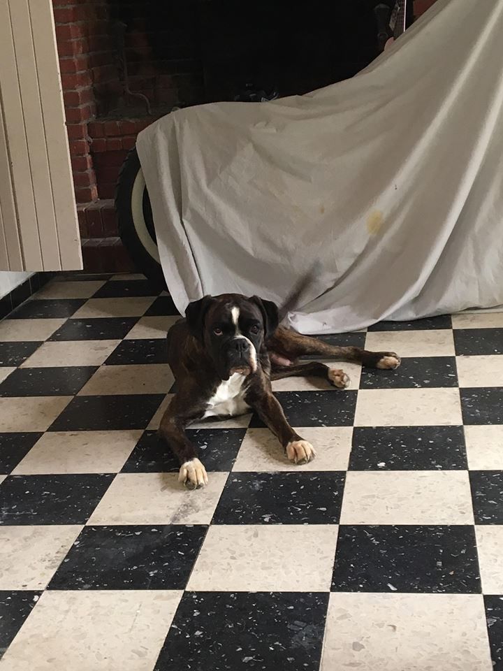 Publication : Du Soleil De L'aurion 