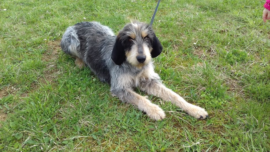 Publication : La vallée de l'echiquier