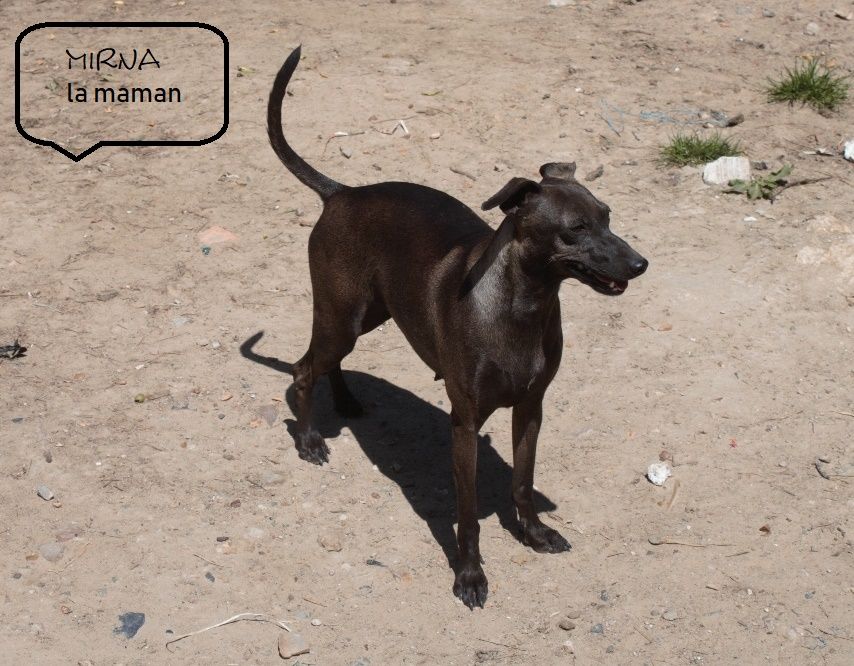 Publication : Des doux angelots 