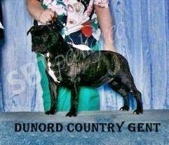 Dunord Country gent