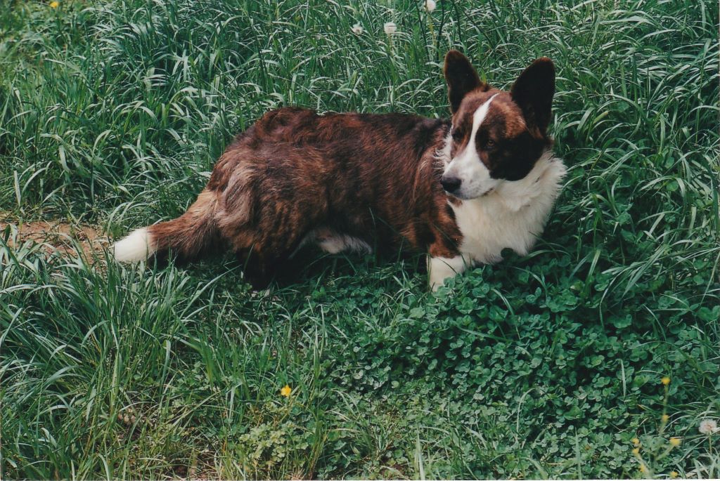 Publication : (Sans Affixe) 