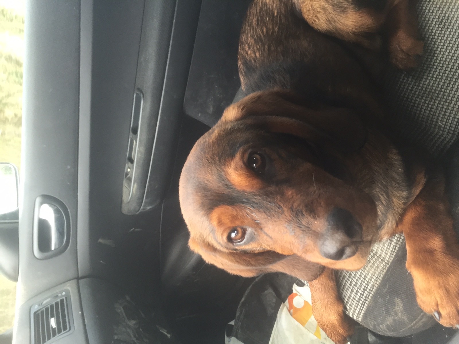 L’dik Titre Initial