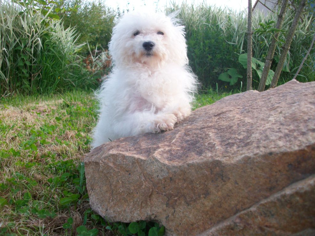 Haden de la réserve deden