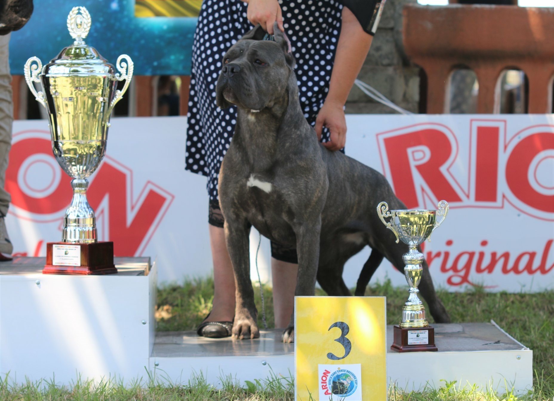 Mia sentenza lou gardian di prouvenço