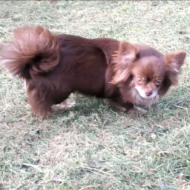 Jade de La Petite Ferme De Nénette