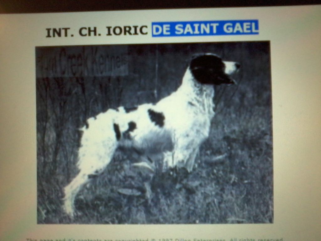 TR. CH. Ioric De saint gaël