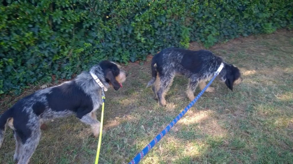 Miss-morpionne des gorges du saut ruban