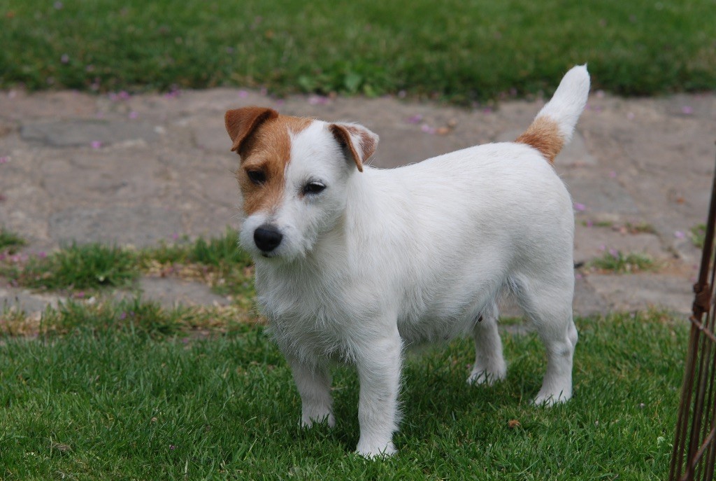 Lolita Du Clos Des Dolls