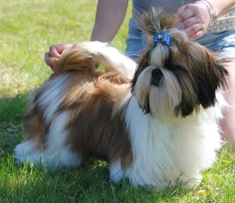 Newman Des Portes De Shamballa