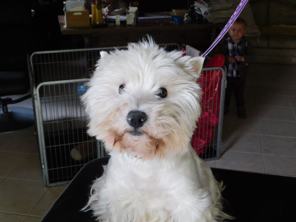 Publication : Du moulin de labatut 