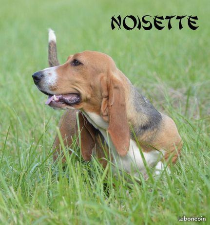 Publication : Des Chasseurs Du Temps Auteur : Angelique Margas