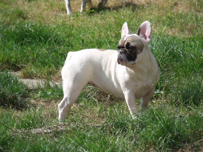 Publication : du Chemin Des Puits Tournants Auteur : MME DUVAL