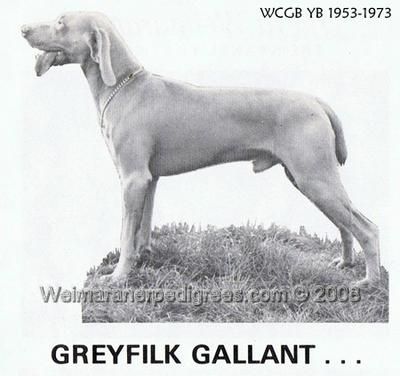 Gallant greyfilk