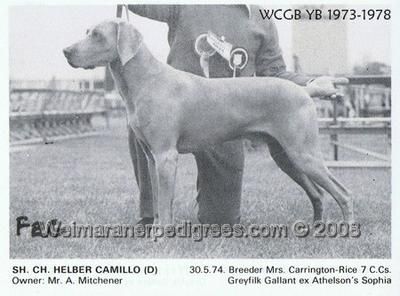 Camillo helber