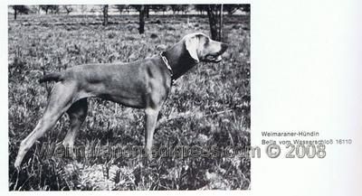 Bella vom wasserschloss