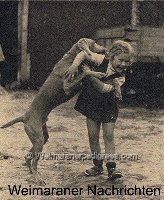 Bodo von rebhuhnsberg