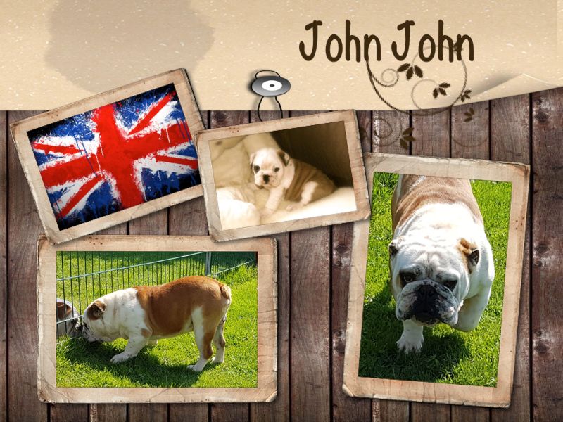 John john des plaines du middel weg (Sans Affixe)