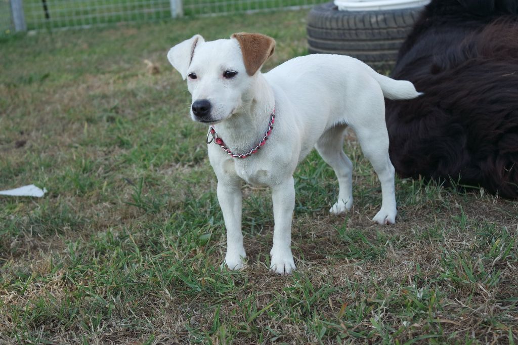 Auteur : des champs des cyclamen's