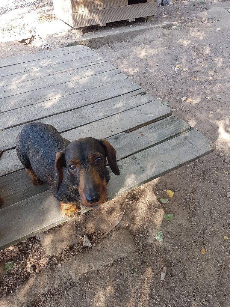 Publication : Du moulin berry 