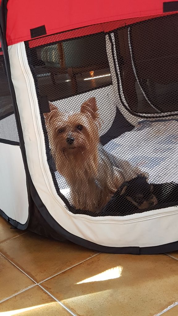 Iliade Du clos kemorick