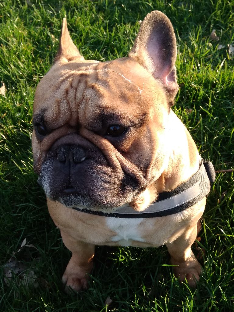 Publication : (Sans Affixe) Auteur : Laurent Ducrocq