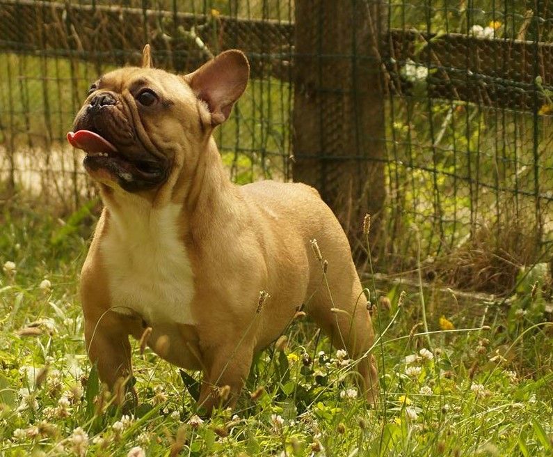 Larry de l'ancien Presbytère