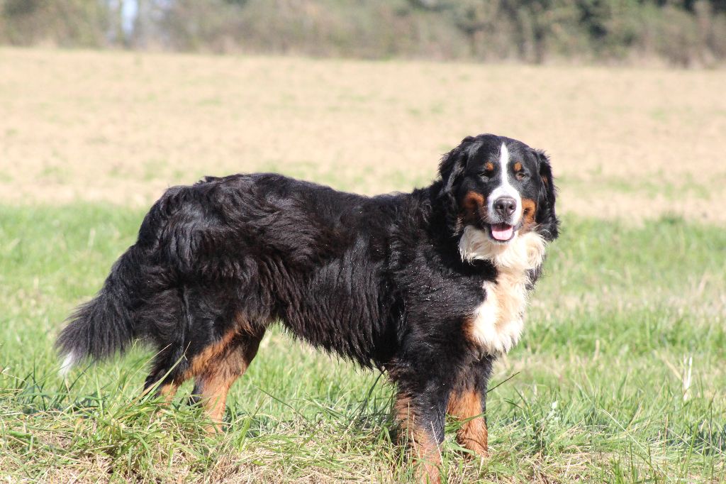 Publication : de la Vallée de l'Hyrome 