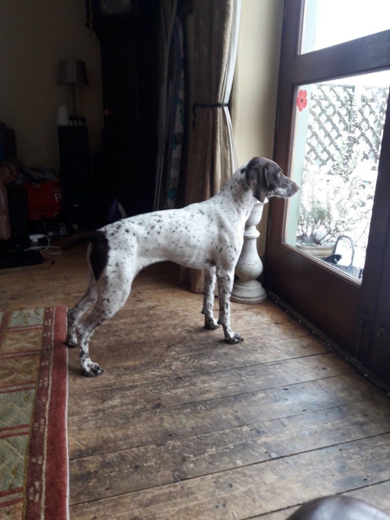 Publication : Santorin Auteur : SB