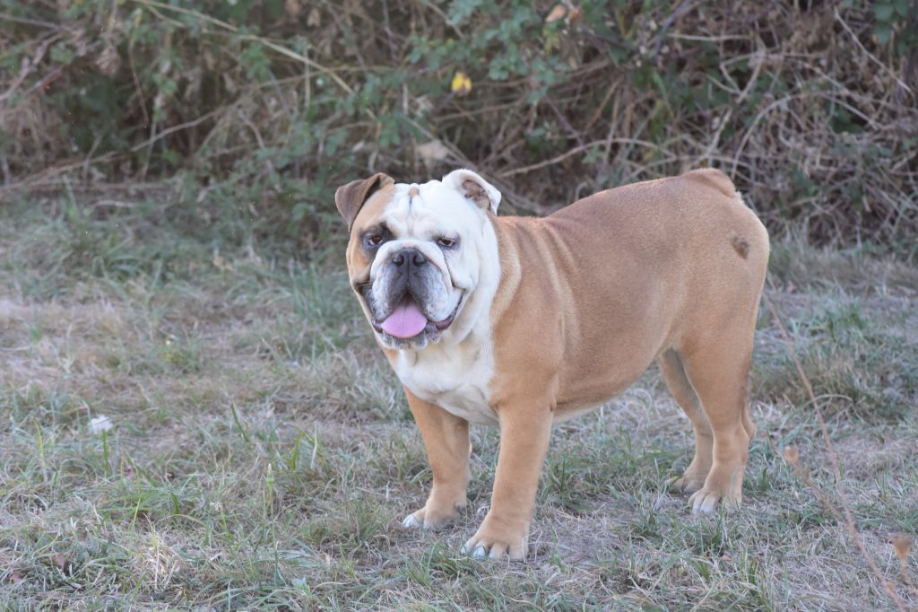 Publication : Everybody's Got