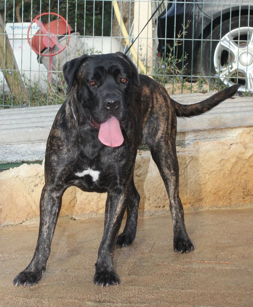 Auteur : De la Colline du Bonheur