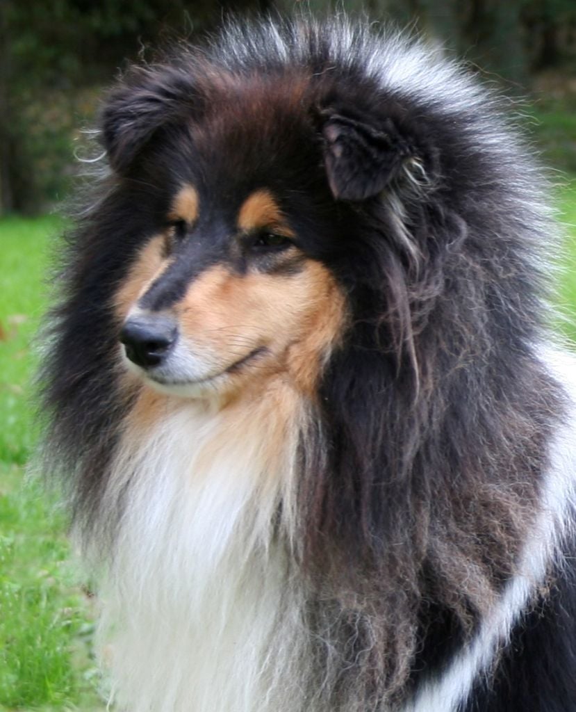 Island girl des marecages du Prince