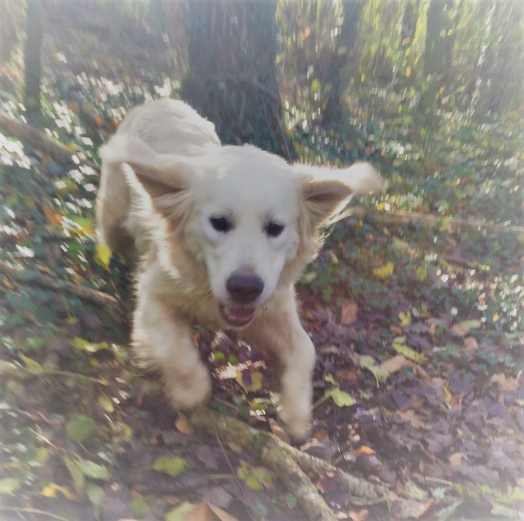 Publication : De La Source Du Riet Veld