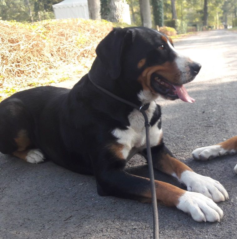 Publication : Blue Moon Secrets Auteur : Maud AUTERLOT