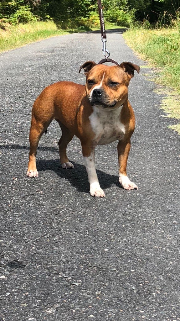 Mellie Of The Golden's Crew