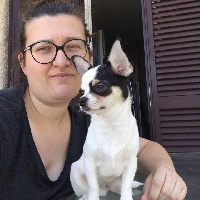 Étalon Chihuahua - mufuni house chihov He will be my strength