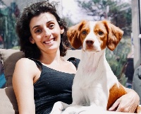 Étalon Epagneul Breton - New york des esprits voyageurs