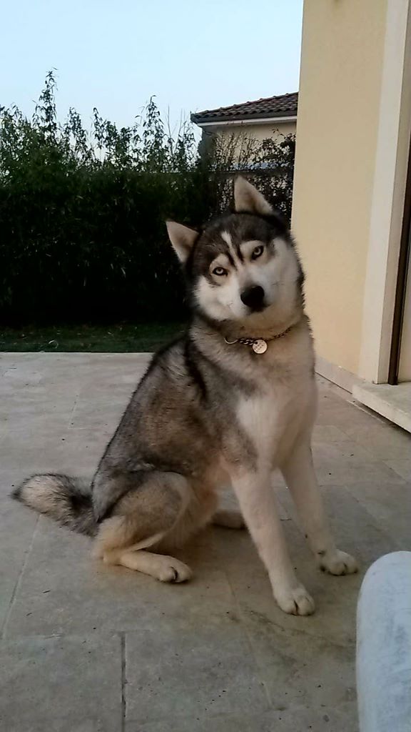 Publication : (Sans Affixe) Auteur : SB