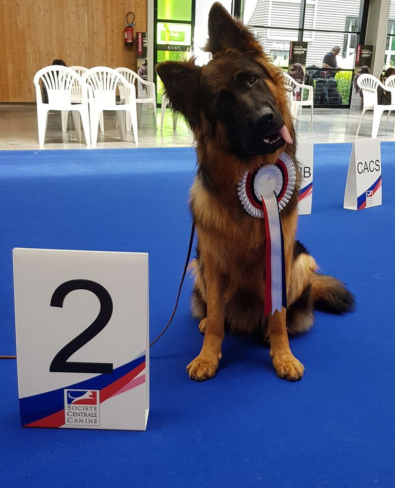 Publication : De La Légende D'odin