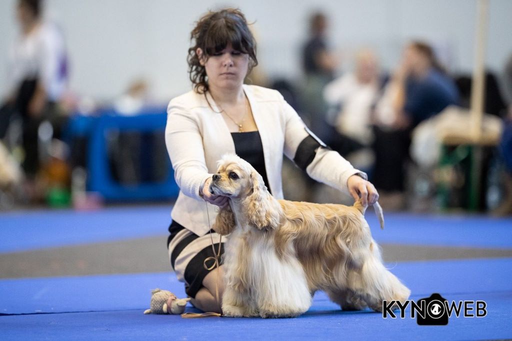 Publication : Kay Hina