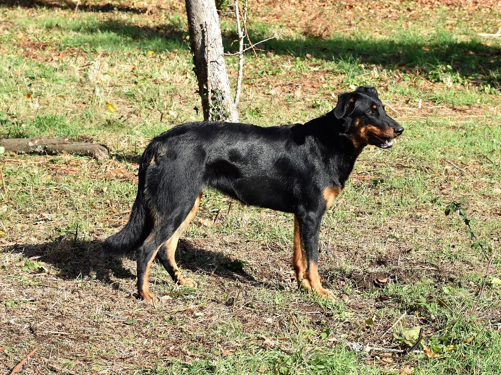  Auteur : Françoise Lakehal